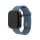 Pasek do smartwatchy FIXED Silicone Strap Set do Apple Watch 44/45/46/49 mm green-blue